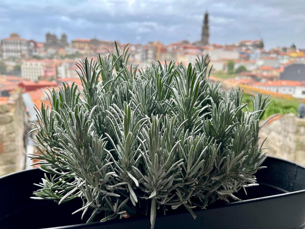 Urban Apartment Casa Da Portela Porto Ngoại thất bức ảnh