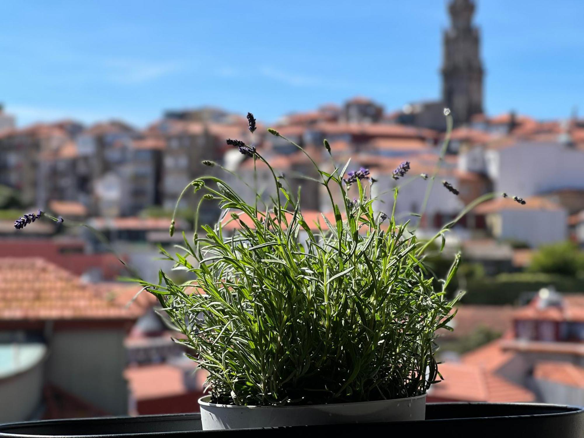 Urban Apartment Casa Da Portela Porto Ngoại thất bức ảnh